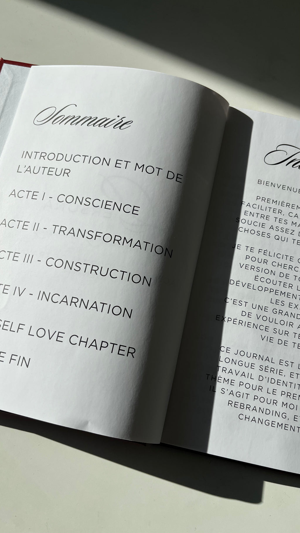 PERSONA — Journal de Reconstruction Identitaire