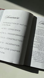 PERSONA — Journal de Reconstruction Identitaire