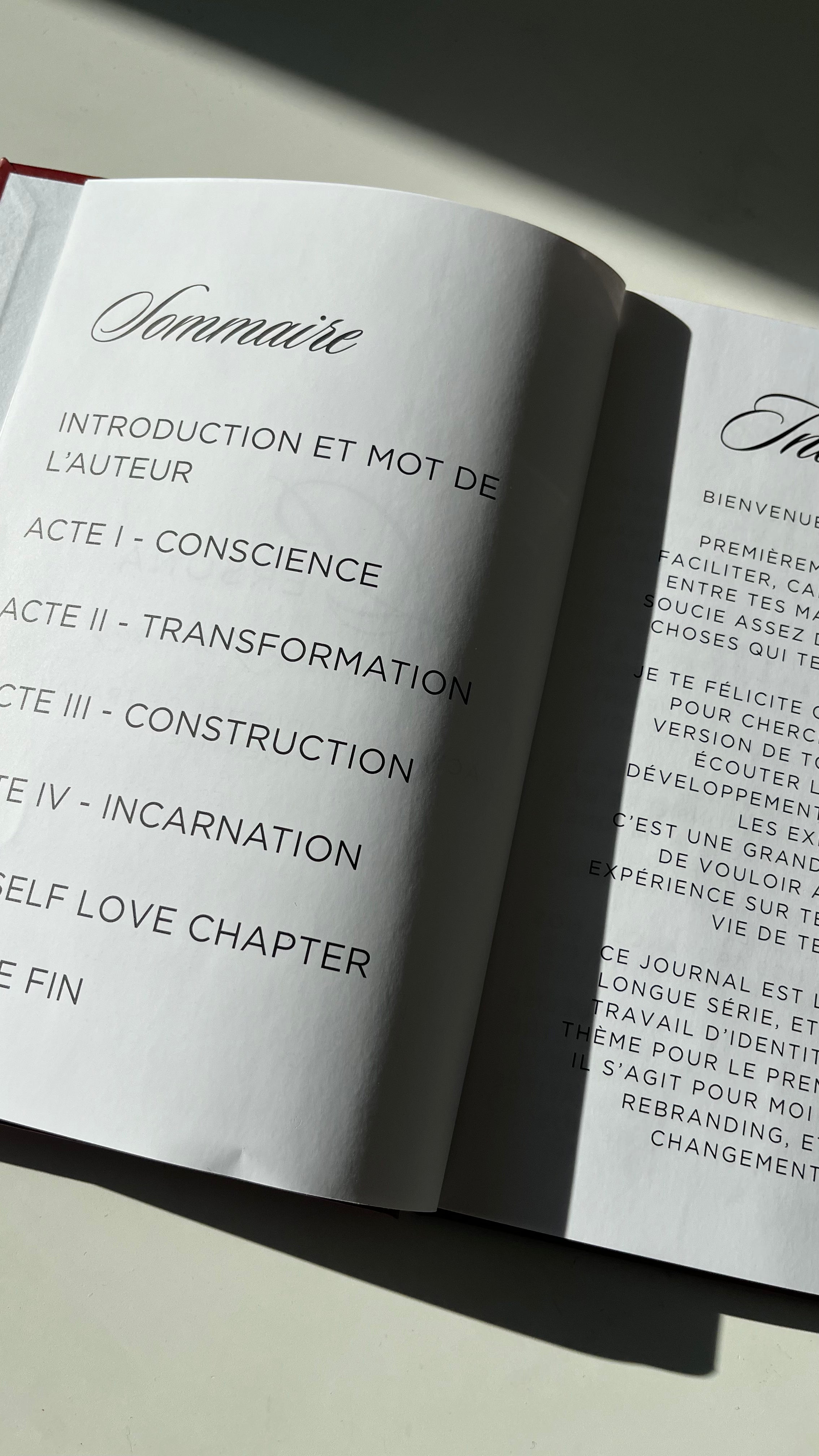 PERSONA — Journal de Reconstruction Identitaire