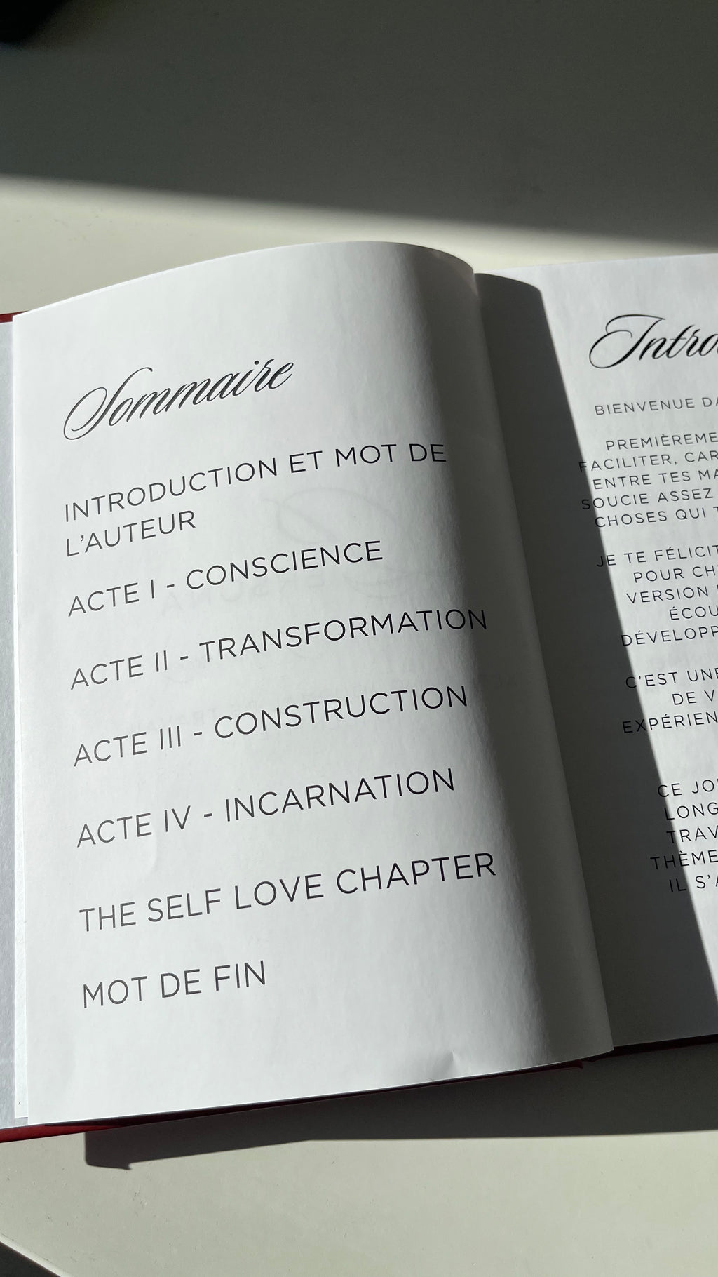 PERSONA — Journal de Reconstruction Identitaire