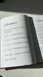 PERSONA — Journal de Reconstruction Identitaire
