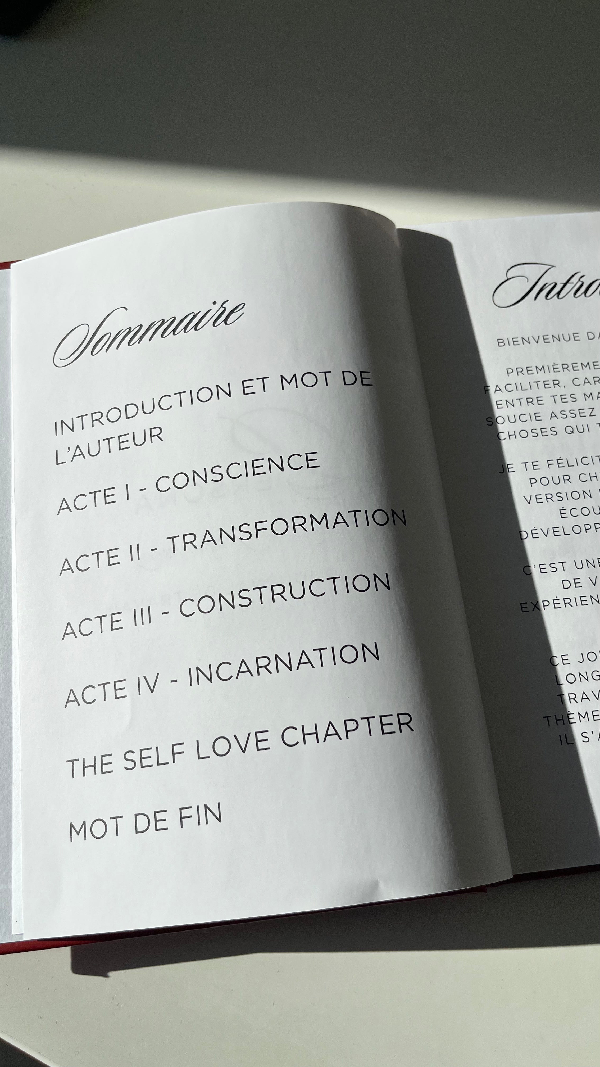 PERSONA — Journal de Reconstruction Identitaire
