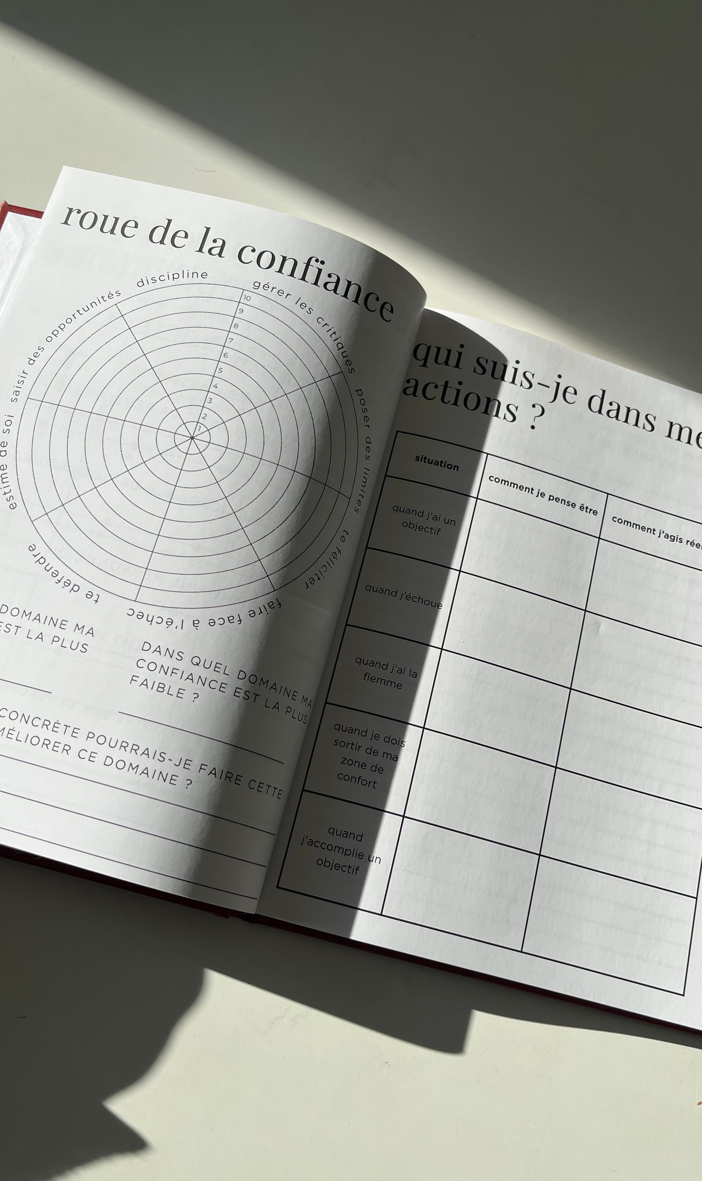 PERSONA — Journal de Reconstruction Identitaire