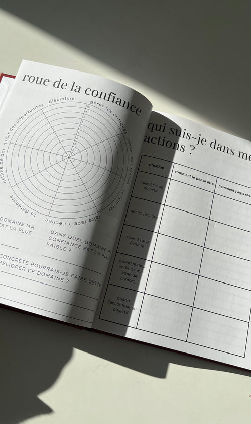 PERSONA — Journal de Reconstruction Identitaire